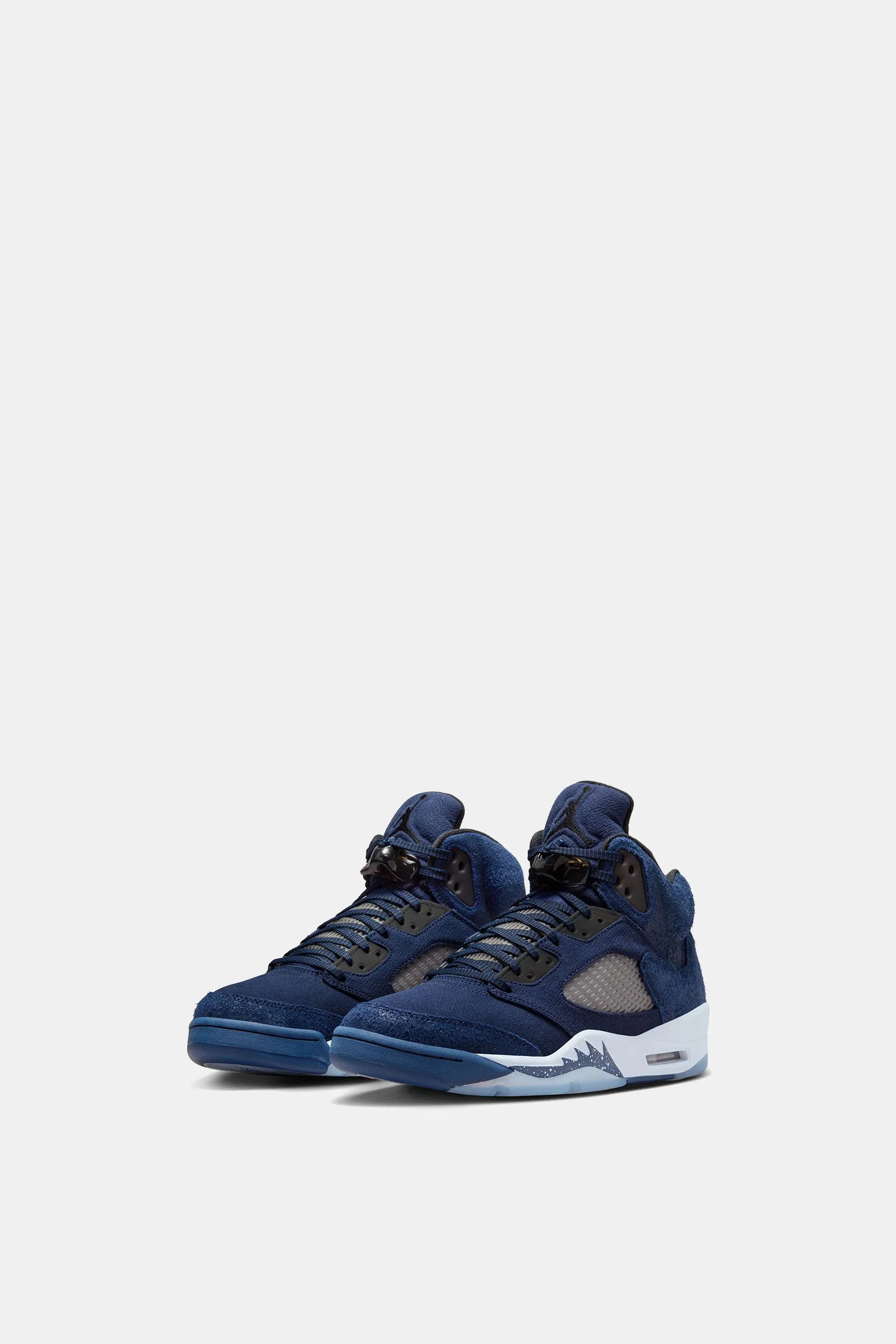 Air Jordan Retro 5 SE